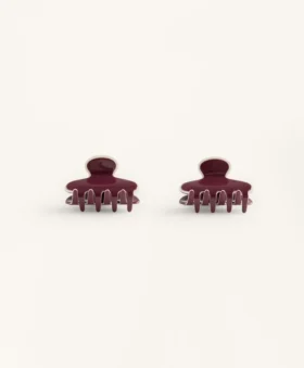 2 fermagli per capelli con bordino