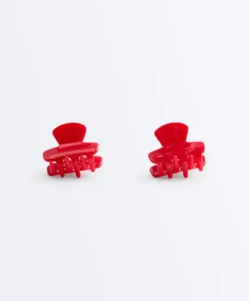 2 mini mollette per capelli